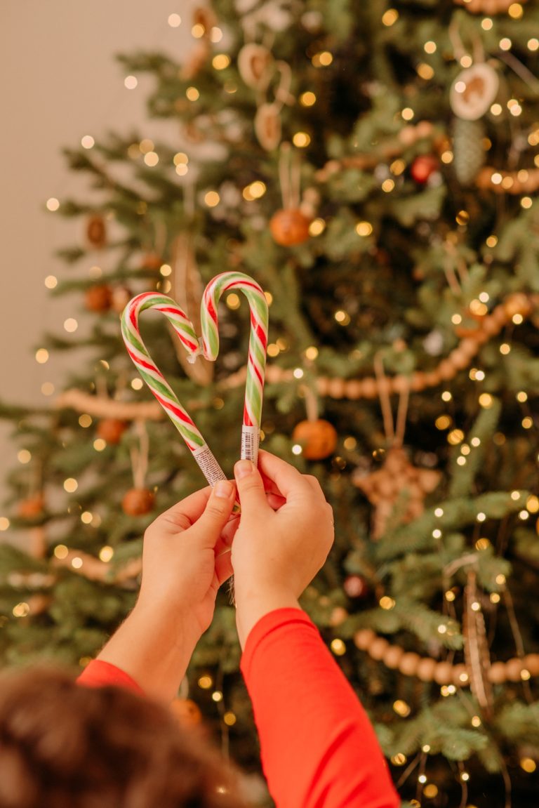 A child holding candy canes in front of a decorated Christmas tree
