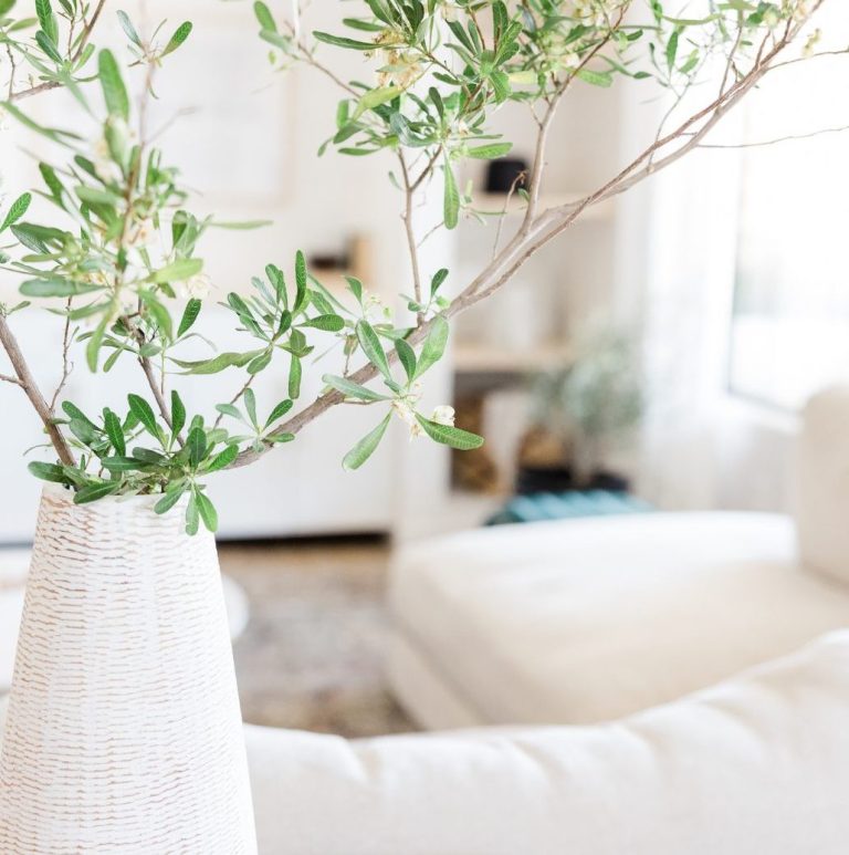 Olive branch in a white vase beside a sofa in a bright, tidy living room